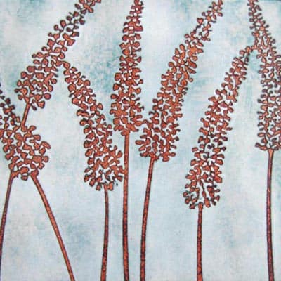Flowerheads (C61)