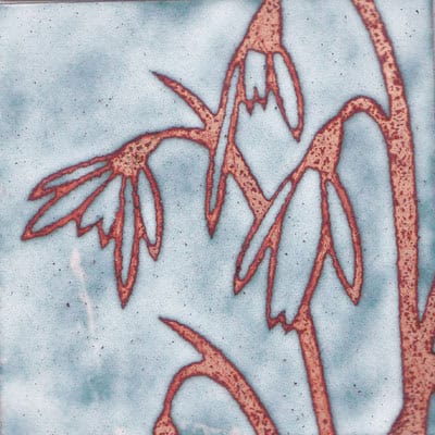 Snowdrops (C74)
