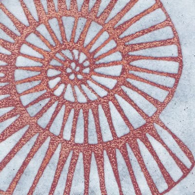 Ammonite (C76)