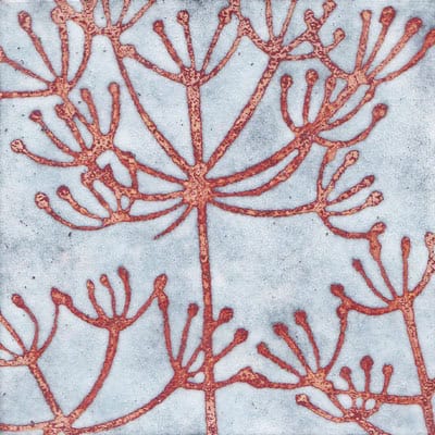 Cow Parsley (C8)