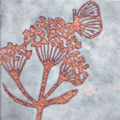Butterfly Resting (C82)