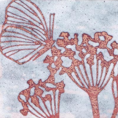Butterfly (C85)