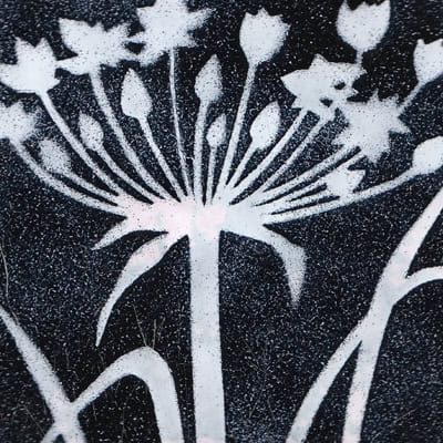 Agapanthus (M118)