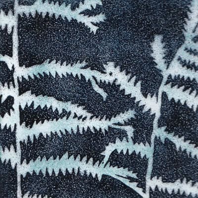 Ferns (M123)