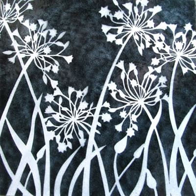 Agapanthus (M126)