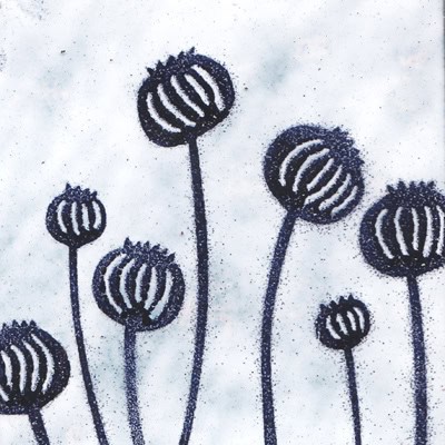 Seedheads (M130)