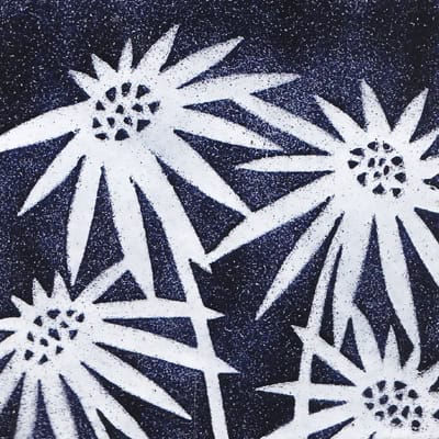 Spiky Flowers (M133)