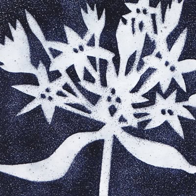 Flowers (M136)