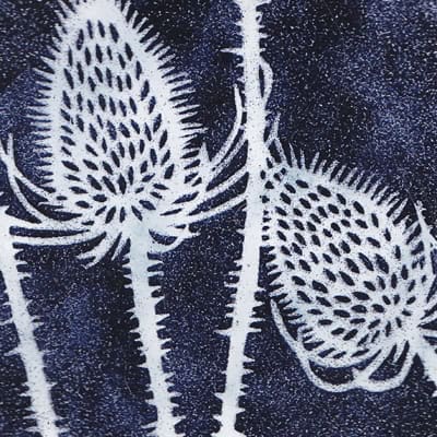 Teasels (M137)