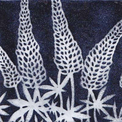 Lupins (M172)