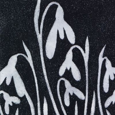 Snowdrops (M189)