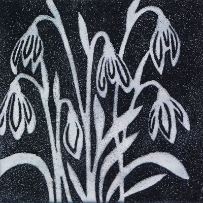 Snowdrops (M190)
