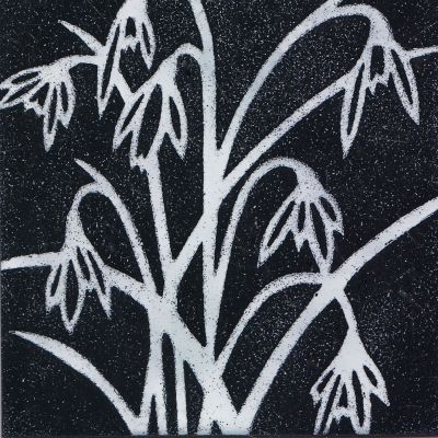 Snowdrops (M191)