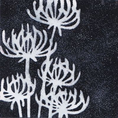 Seedheads (M195)