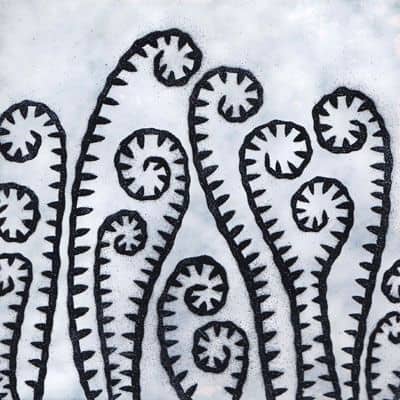 Ferns (M204)