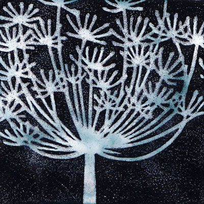 Cow Parsley (M209)