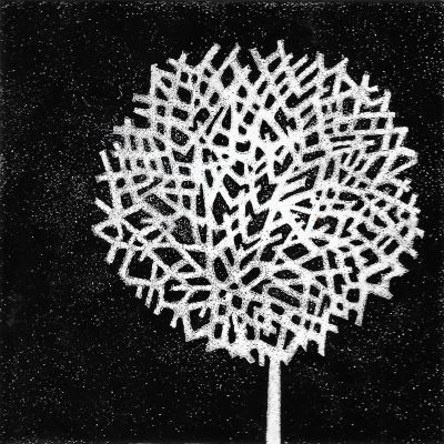 Seedhead (M234)