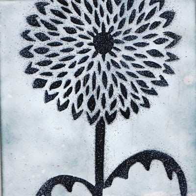 Dahlia (M26)