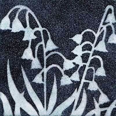 Bluebells (M28)