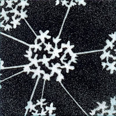 Flowerheads (M3)