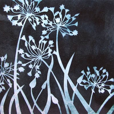 Agapanthus (M93)