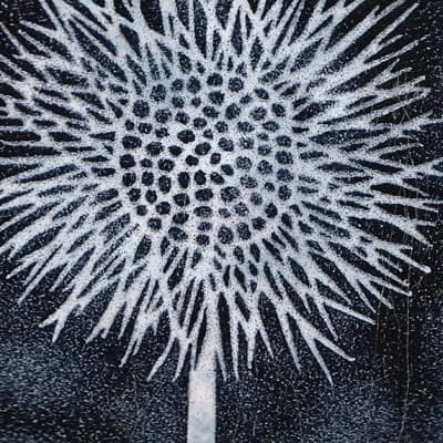 Sunflower (M98)